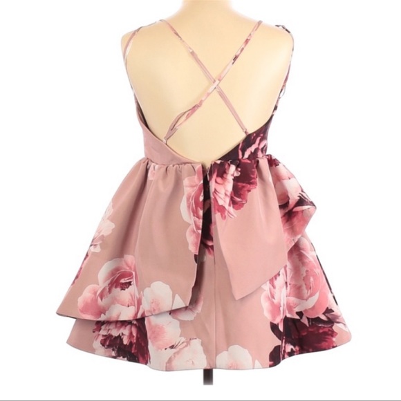 NWT KEEPSAKE the Label cupcake mini dress - Picture 4 of 5